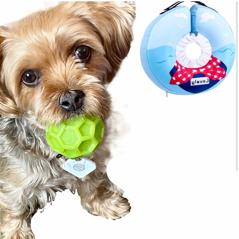 NWOT Woot Inflatable Waterproof Dog Cone Collar Donut for Recovery